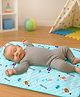 Quilted Diaper Changing Mats Pack of 2 - Blue & Green| Waterproof| Washable & Reusable| Foldable & Lightweight| Travel Friendly| Tummy Time Mat| Newborn & Infant Essential| Leak Proof