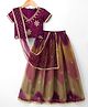 Pine Kids Woven Half Sleeves Embroidered Choli Lehenga Set With Dupatta - Multicolour