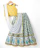Pine Kids Woven Sleeveless Lehenga Choli Set With Floral Print & Dupatta - White