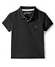 Little Darlings Cotton Knit Half Sleeves Solid Polo T-Shirt - Black