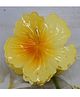 Little Miss Cuttie Floral Designed Hair Claw Clip - Yellow