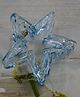 Little Miss Cuttie Star Designed Claw Clip - Aqua Blue
