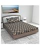 Divine Casa 144 TC Floral Print Graphite Shade King Size Cotton Bedsheet with 2 Pillow Covers