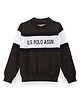 US Polo Assn Cotton Knitted Full Sleeves Pullover Sweater With Color Block Design - Dark Green