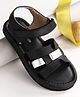 Pine Kids Velcro Closure Solid Sandals - Black