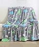 Butterthief Glow in The Dark Radium Blanket - Grey