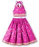 Saka Designs Cotton Woven Sleeveless Floral Foil Printed & Sequinned Choli & Lehenga Set - Pink