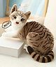 Tickles Cute Musical Cat with Meow Meow Sound Soft Stuffed Plush Animal Toy for Kids Boys & Girls Birthday Gift (Color: Brown Height: 35 cm)