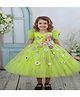 Li&Li BOUTIQUE Net Woven Half Puffed Sleeves Glitter & Pearl Embellished Butterfly & Floral Applique Detailed Dress - Parrot Green