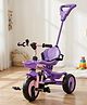 BAYBEE Nova Pro Baby Tricycle for Kids | Plug & Play Kids Cycle with Parental Handle & Safety Belt | Balanced Trikes with Dual Basket & Eva Wheels | Baby Cycle 2 to 5 Years Boys Girls (Pink/Purple)