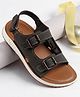 Pine Kids Velcro Closure Solid Sandals - Brown