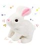 ADKD 17.5 cm Walking Bunny Rabbit Toy Stuffed Animal Toy for Kids & Babies- Multicolor