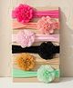 SYGA Set Of 6 Floral  Detailed Headbands - Multi Color
