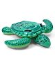 Turtle Ride-On Float Baby Bath Accessories - Green