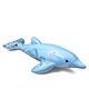 Dolphin Ride-On Float Baby Bath Accessories - Light Blue