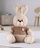 Bonfino Plush Bunny Soft Toy with Beige Sweater 30cm| Huggable Stuffed Bunny| Enhances Imagination & Emotional Growth| Perfect for Snuggles, Playtime & Gifting| BIS Certified| Home & Car Decor