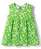 Babyhug Single Jersey Knit Sleeveless Frock With Floral Print - Green