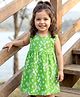 Babyhug Single Jersey Knit Sleeveless Frock With Floral Print - Green