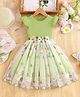 tior Mesh Knit Cap Sleeves Floral Embroidered Dress - Light Green