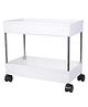 Rasvesh 2 Layer Mobile Storage Organizer Unbreakable Plastic Slim Rack with Wheels, White