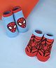 Yellow Bee Cotton Knit Pack Of 2 Marvel Avengers Featuring Spiderman Printed Socks - Red & Blue