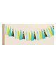 Amfin Tissue Paper Tassels Garland Multi Colour- 20 Pieces