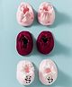 Bubble Pop Single Jersey Knit Panda & Floral Printed Booties Pack Of 3 - Multicolour