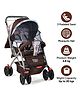 Angels & Mice Wonder Cruise Stroller, Reversible Handle, Mosquito Net, 5 Point Safety Harness, Adjustable backrest, 360° Swivel Wheel, Large Storage Basket, Back storage pocket, Choco Geo