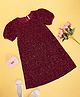 Pantaloons Junior Knit Half Puffed Sleeves Sequin Embellished Dress - Maroon