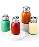Ji & Ja Premium Stainless Steel Vacuum Insulated Bottle (280ml)  Double Wall Leak-Proof Flask for Hot & Cold Drinks(COLOUR AS PER AVABILITY
