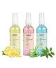 inatur Daily Hygiene Hand Sanitizer Spray Trio | Lemon, Aloe & Neem | 99.9% Germ Defense | 100ml