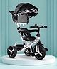 Babyhug Little Zebra Tricycle for Kids with Parental Push Handle & Canopy Toddler Ride-On Trike with Safety Harness BIS Certified Seat with High Backrest Foldable Footrest Anti-slip Pedals- Black