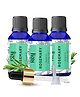 3  Rey Naturals  Rosemary essential oil for hair growth Skin and Aroma  15ml fgs..vb