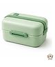 Honor Your Home Portable Lunch Box With Handle |bpa Free|leak Resistant|2 Compartment, 1 Spoon 1 Fork|900ml|perfect for School Kids & Outdoors|green