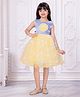 Ministitch Organza Woven Sleeveless Stone Embellished Floral Applique Detailed Dress - Yellow
