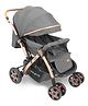 Babyhug Landscape Stroller with Reversible Handle Grey| Multi-Recline Backrest| UV Protection Canopy| 5-Point Harness| All-Wheel Suspension| Swivel Wheels| Trolley-Style Pull Handle| Linked Brake