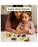 Ratnas Insect World Mini Bug Figures Set  Colorful & Educational Toy for Kids