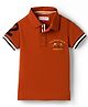 US Polo Assn Cotton Knit Half Sleeves Polo T-Shirt with Sport Embroidery - Light Brown