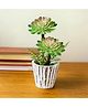 The Better Home Fabric Artificial Plants (31cm) | Beautiful Flower Artificial Plant for Home Decor | Decorative Items for Living Room | Artificial Flower with Pot, Green