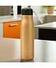 The Better Home Insulated Stainless Steel Water Bottle 550ml | Hot Cold Bottle Office School Gym | 8 Hrs Insulation Airtight Leak Proof BPA Free | Light Brown