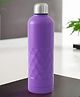 The Better Home Insulated Thermosteel Bottle 750ml | Small Flask Water Bottle for Kids School | Hot and Cold Water Bottle | Gym Bottles for Men/Women | Leakproof Screw Cap | (Purple)