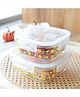 Borosilicate Printed container with lid (Square) | JDA052-MUL | Multi | Pack of 2