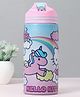 Hello Kitty Non Insulated Steel Sipper Water Bottle Pink - 500 ml