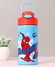 Spider Man Insulated Sipper Water Bottle Blue & Red - 400 ml
