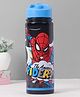Spider Man Insulated Sipper Water Bottle Black & Blue - 600 ml