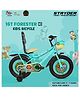 Stryder 16T Forester Carrier Kids Cycle  Age 3  7 Years  Height 38  48 inch  Aqua blue