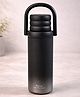 Little Surprise Box  Stainless Steel  Water Bottle Black - 500 ml