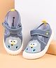 Cute Walk by Babyhug Velcro Closure Printed Casual Shoes  - Blue
