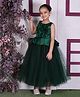 Toy Balloon Kids Net Woven Sleeveless Floral Applique Detailed Gown - Green