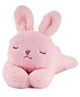 Fuzzbuzz Sleeping Bunny Soft Toy, 19cm, Pink, 18M+ | Soft Plush Toy for Kids | Cute, Safe & Gift-Friendly